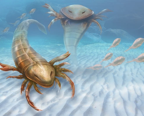 Illustration of pentecopterus, a six-foot sea scorpion