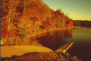 Photo of Springbrook Lake