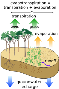 Graphic showing how precipitation falling on the land can evaporate or runoff, or infiltrate into the ground to be later transpired by vegetation