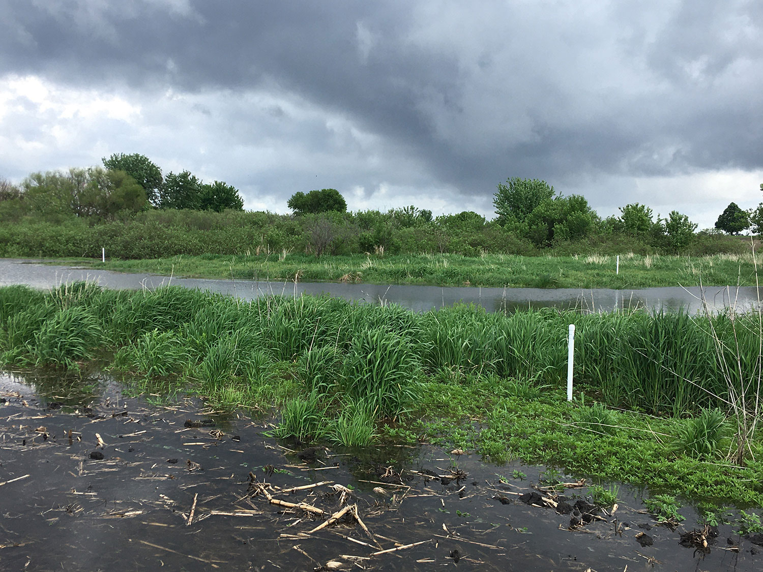 Stormy skies above a flooded oxbow