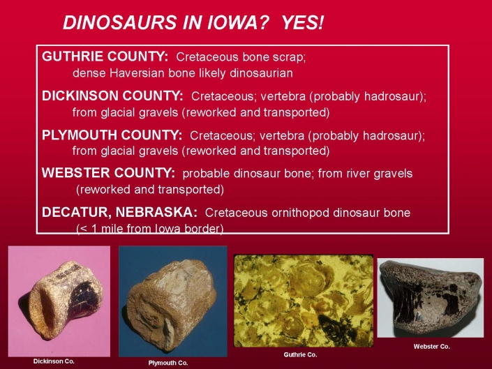 Graphic showing types and locations of dinosaur fossils in Iowa