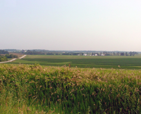 Photo of rolling hills, fields, and a road
