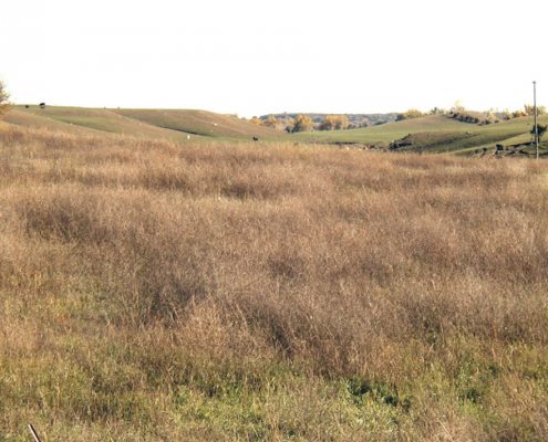 Loess-capped hills in Northern Iowa Plains, O’Brien County