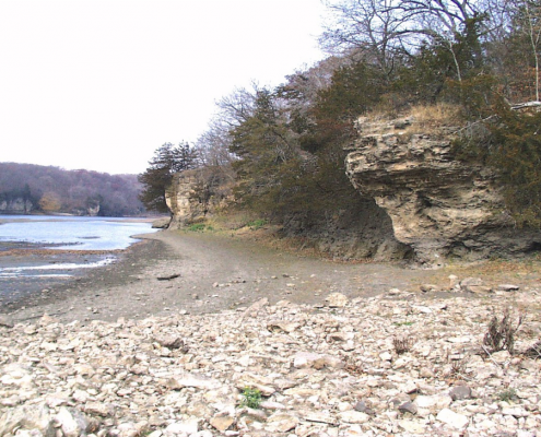 Silurian rocks exposed along the Cedar River, Palisades-Kepler State Park, Linn County