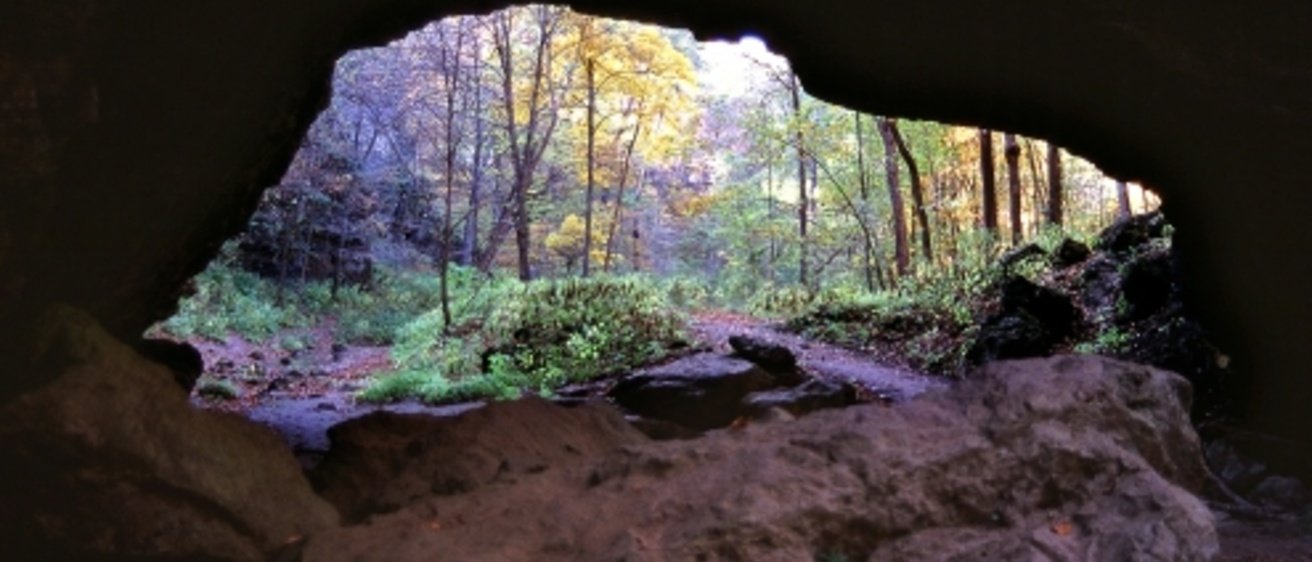 View from inside a cave