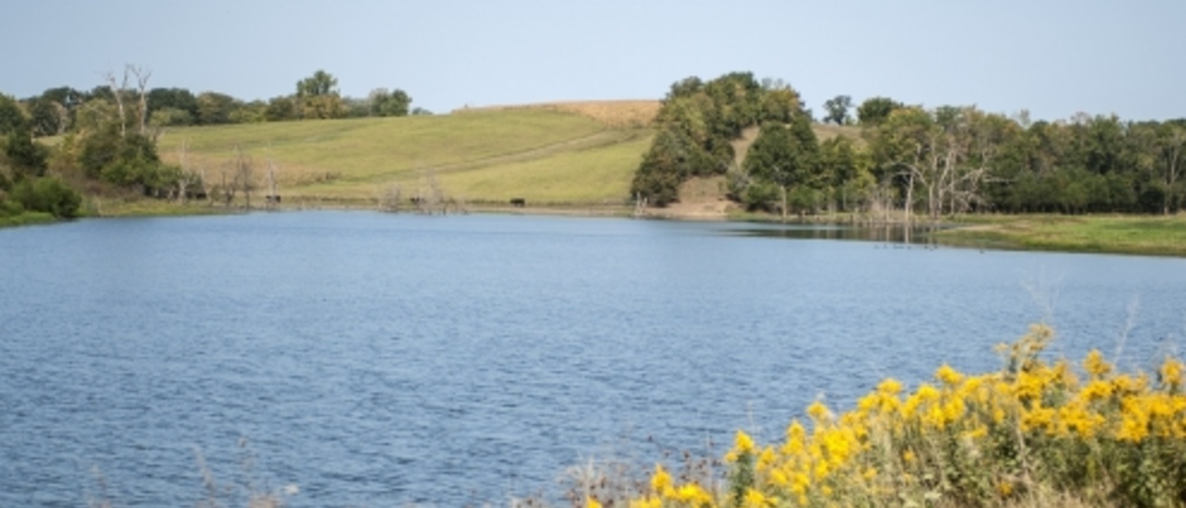 Photo of a pond and surround landscape