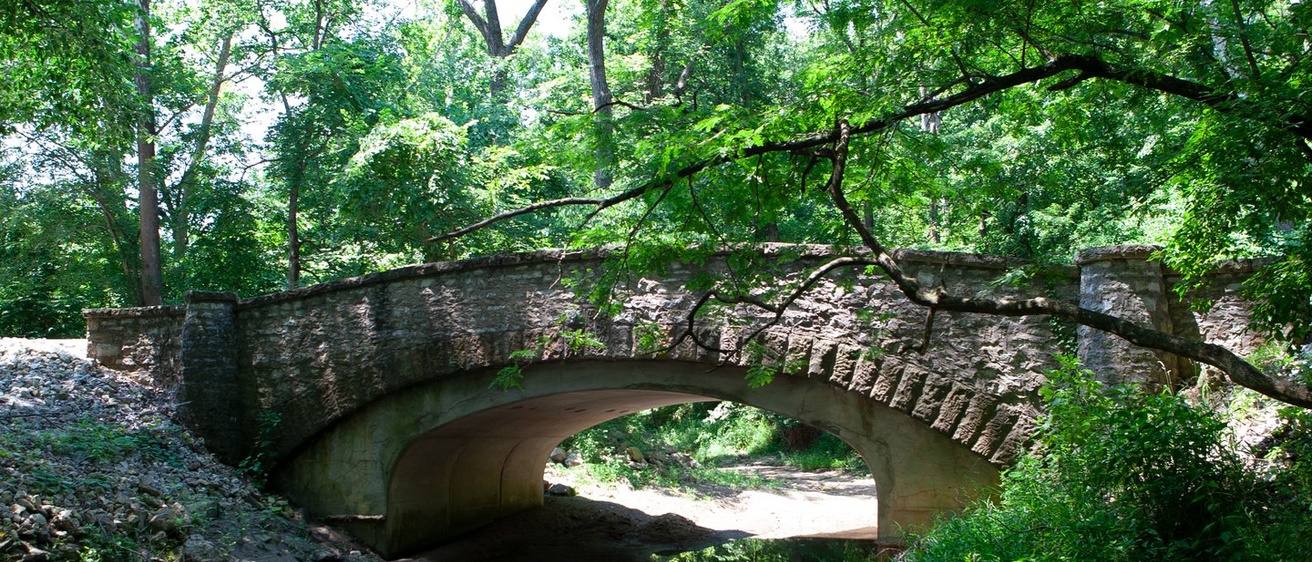 A bridge over a creek bed