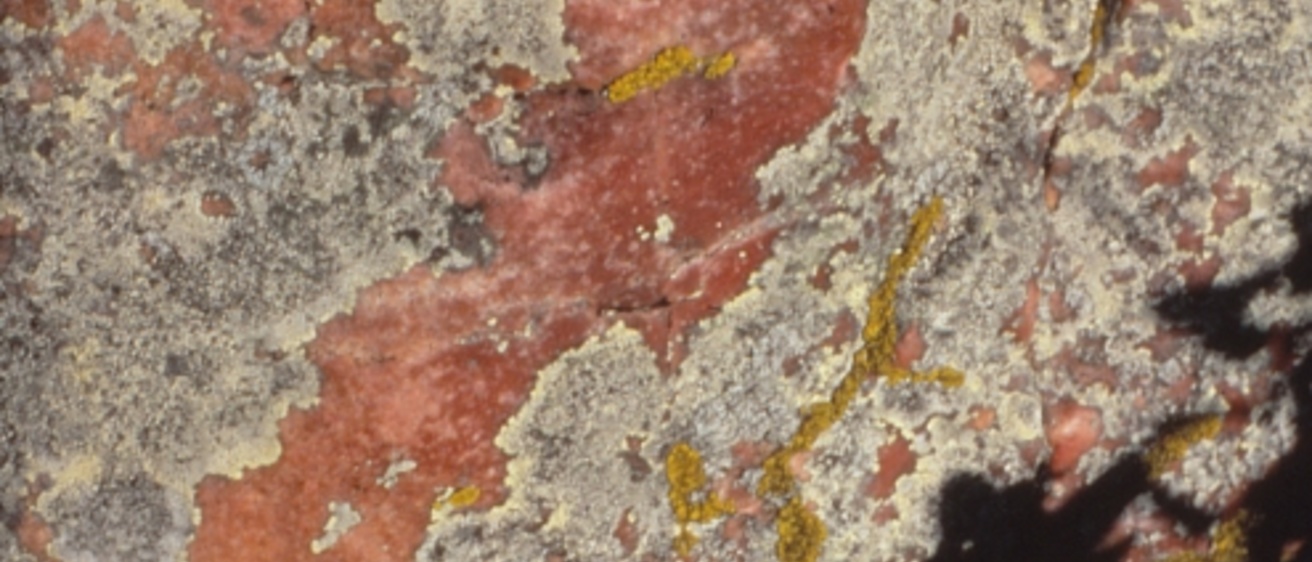 Photo of quartzite